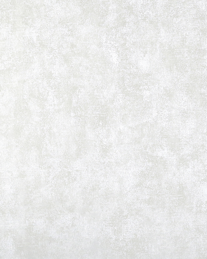 Zendi Лианна Лидс (Lianna Leeds) N55672