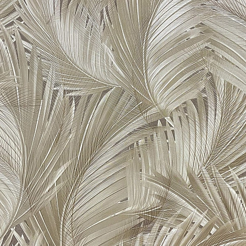 Haoya Эстетичный (Estetico) HK66053