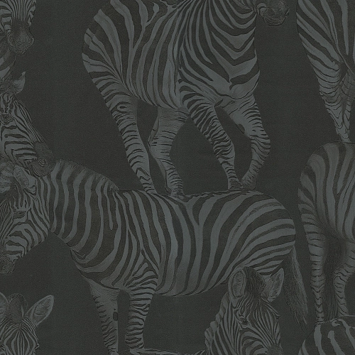 Emiliana Parati Dolce&Gabbana №1 30024DG