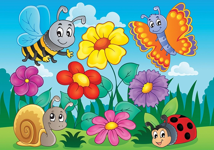 Partner Соло (Solo) 11413V8